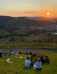 Weinbar Steillage