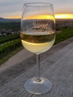 Leuchtender Weinberg 1